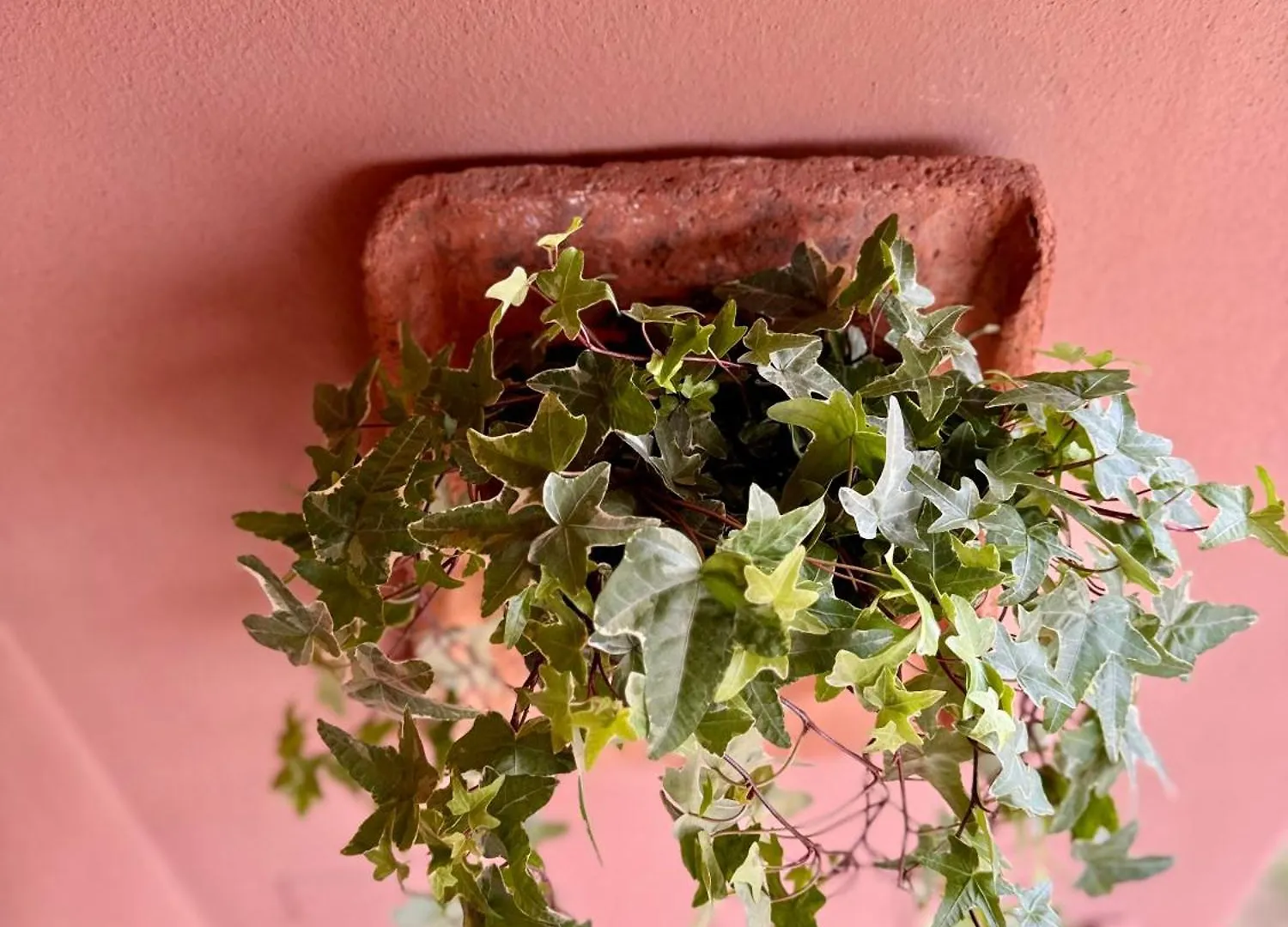 Chianti House Garden - 30 Min Firenze Centro Apartment Pelago 0*,