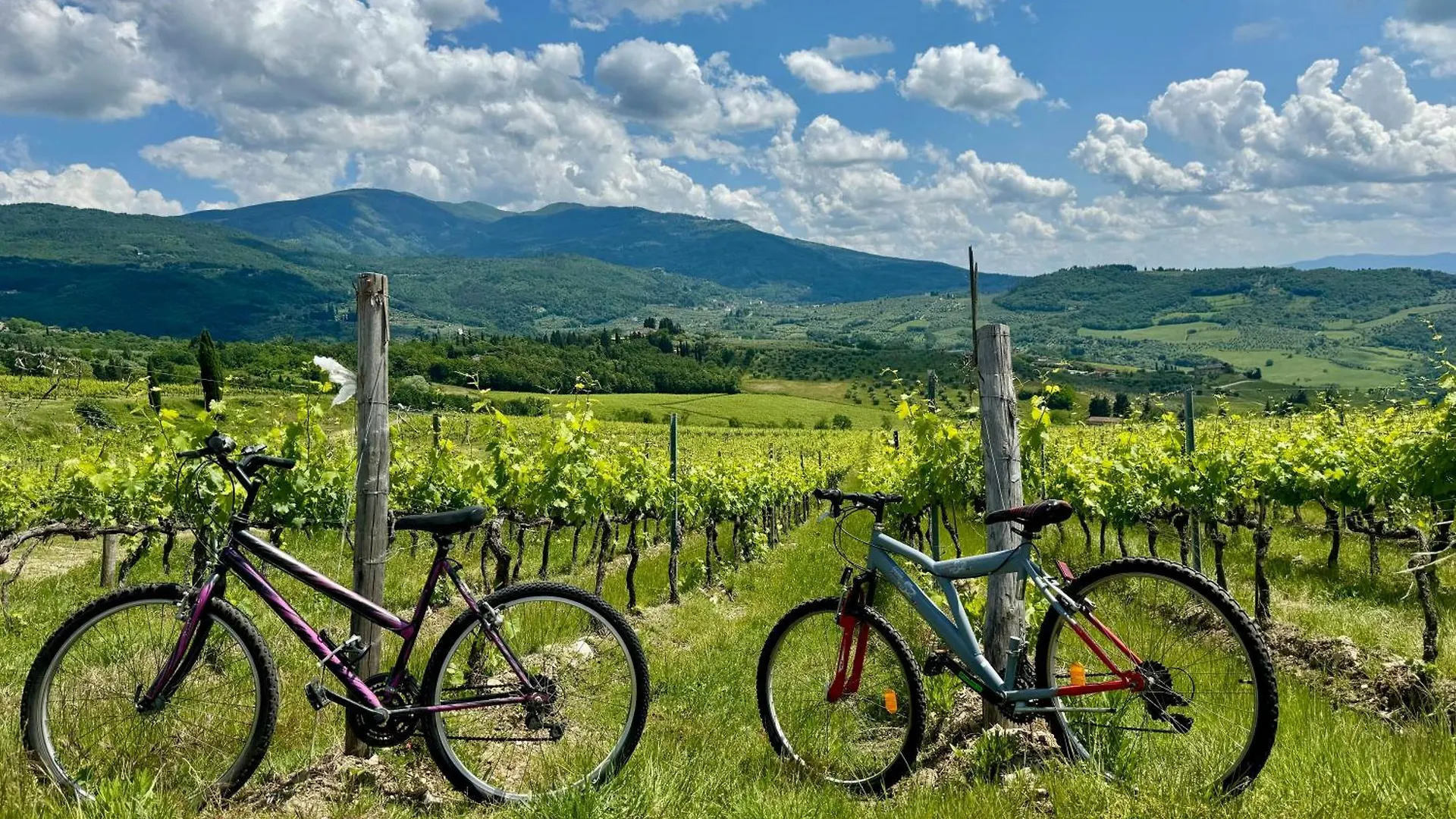 Chianti House Garden - 30 Min Firenze Centro Apartment Pelago Italy